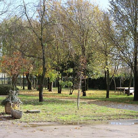 Passion Horse'S House Fc Bed and Breakfast Vigonza Εξωτερικό φωτογραφία