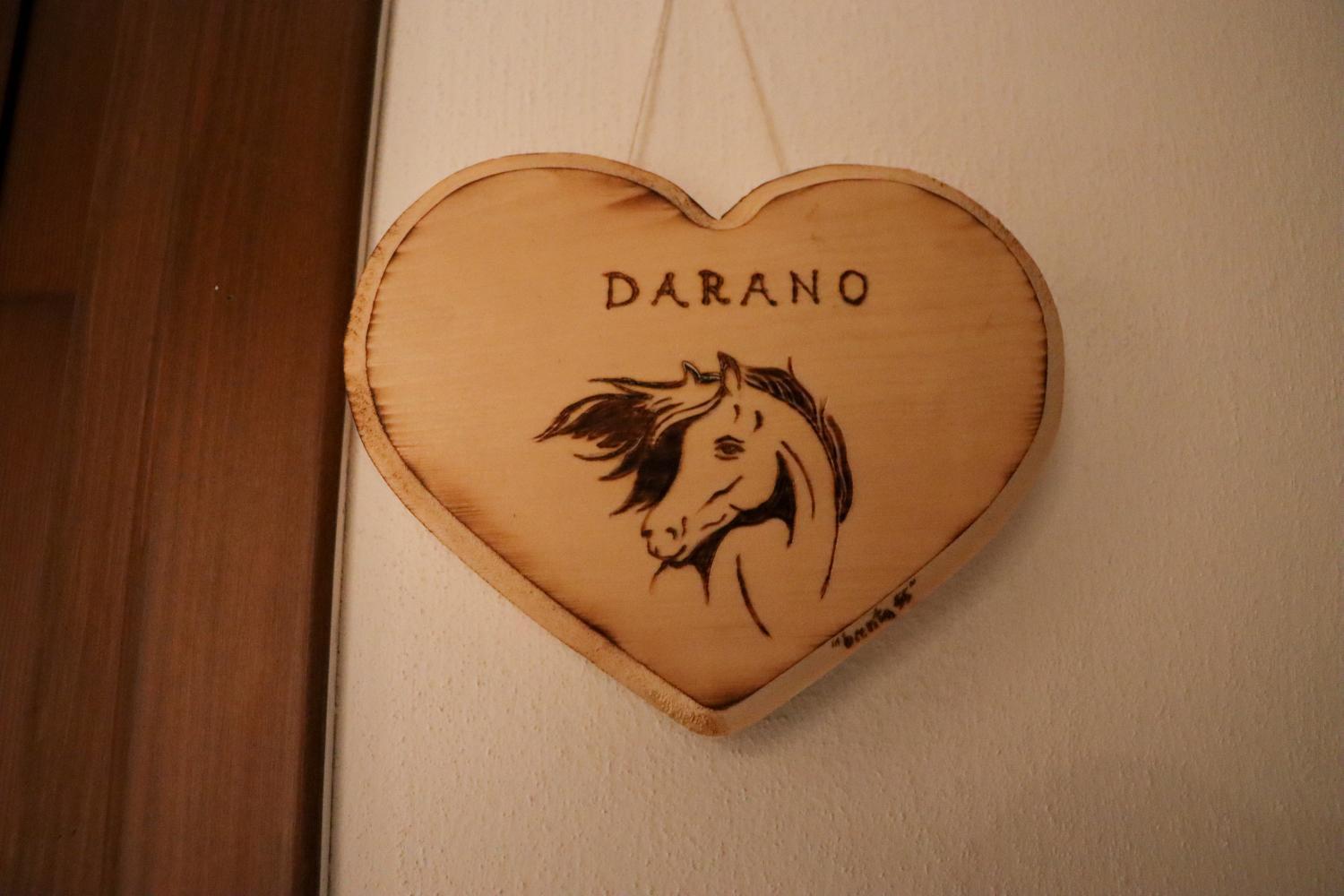 Passion Horse'S House Fc Bed and Breakfast Vigonza Εξωτερικό φωτογραφία