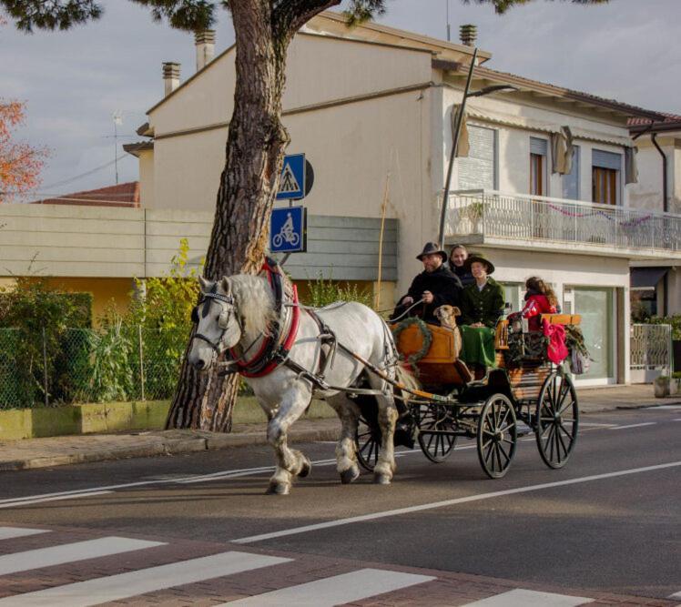 Passion Horse'S House Fc Bed and Breakfast Vigonza Εξωτερικό φωτογραφία