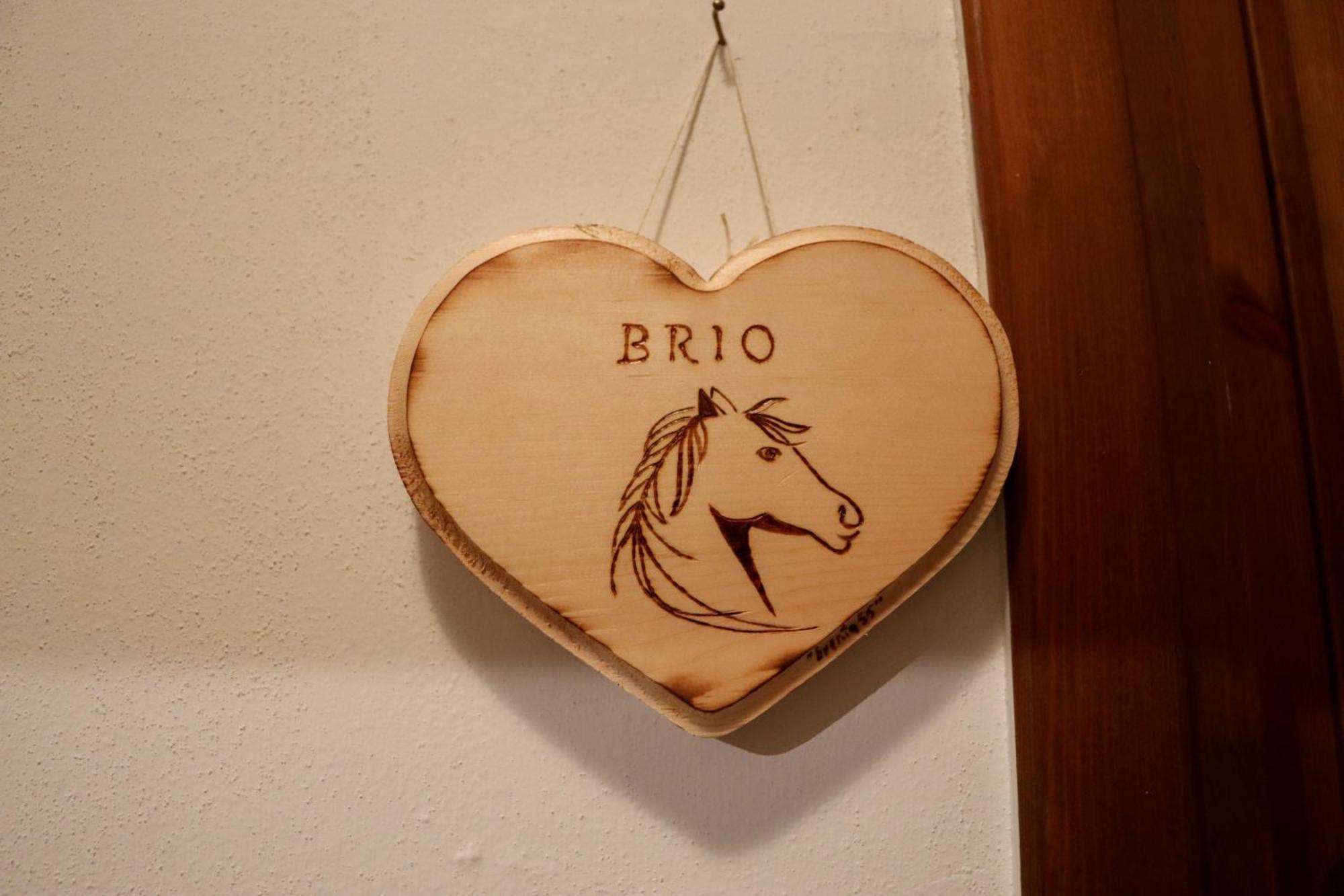 Passion Horse'S House Fc Bed and Breakfast Vigonza Εξωτερικό φωτογραφία