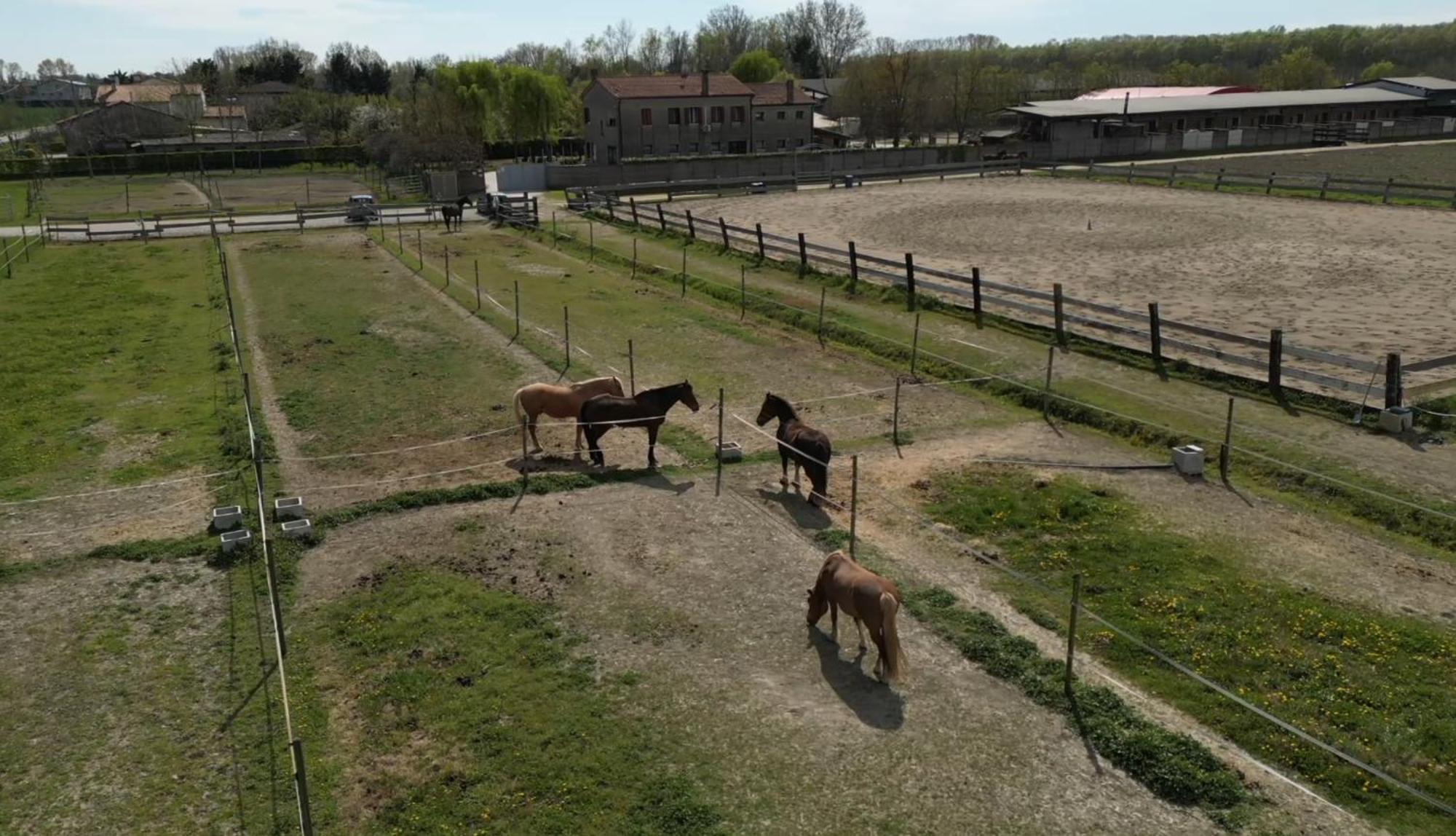 Passion Horse'S House Fc Bed and Breakfast Vigonza Εξωτερικό φωτογραφία