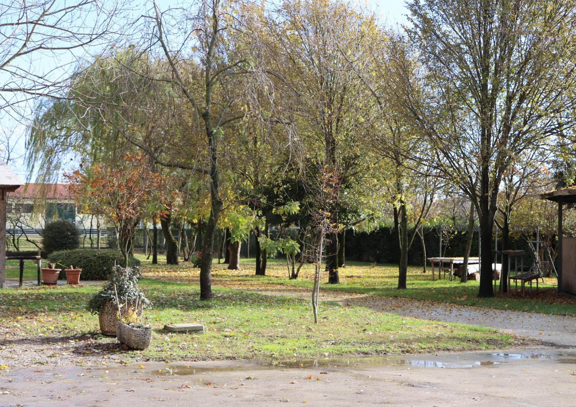 Passion Horse'S House Fc Bed and Breakfast Vigonza Εξωτερικό φωτογραφία
